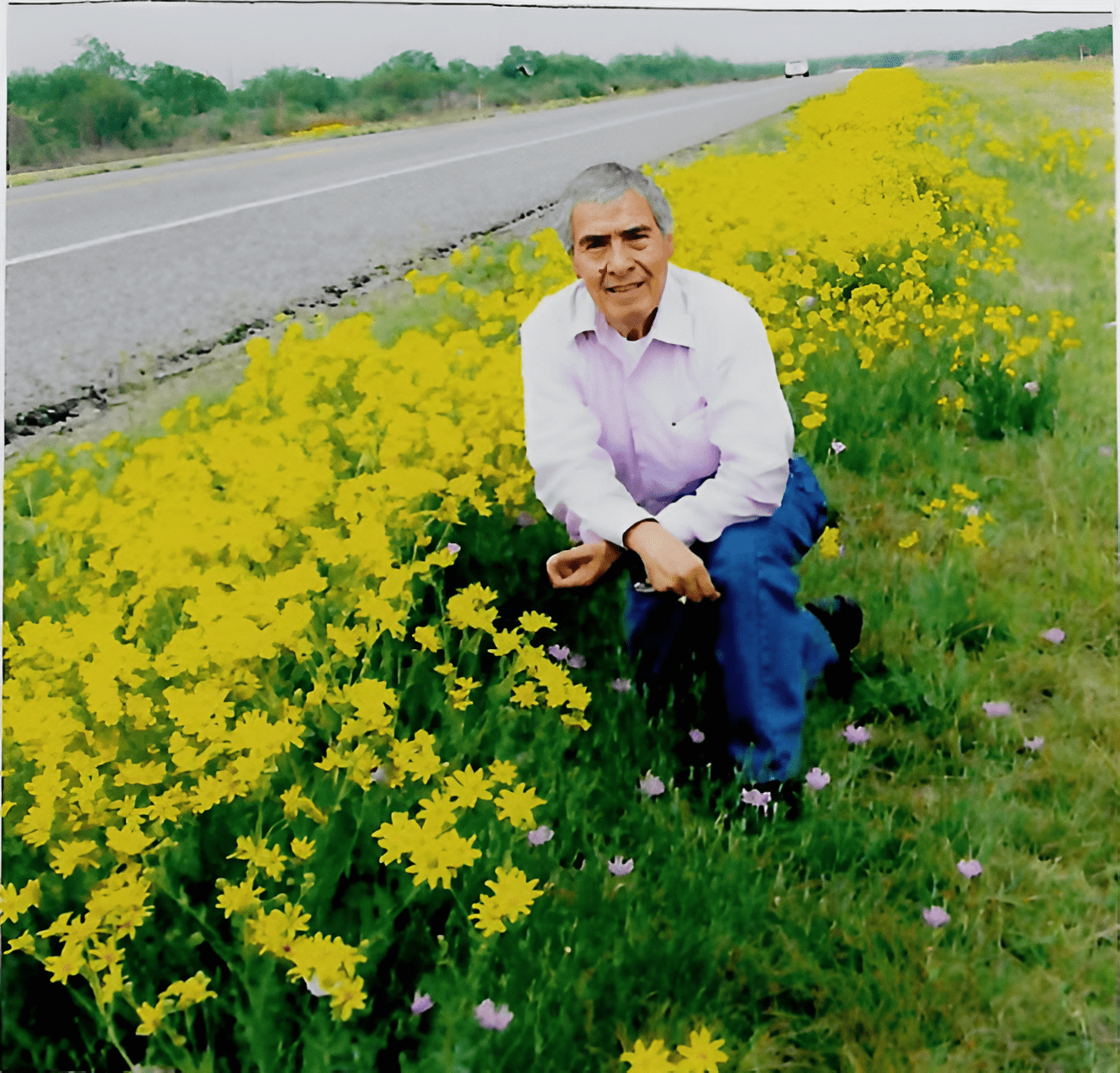 Man kneeling among yellow roadside wildflowers